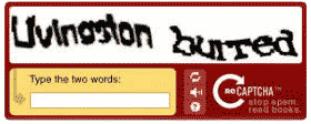 old Google reCAPTCHA